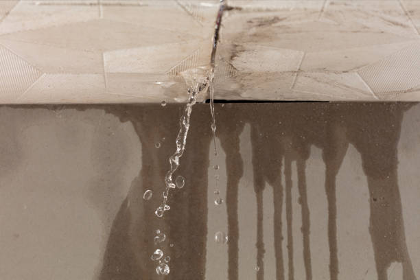 Professional Water Damage Inspection technician working in Boone, IA
